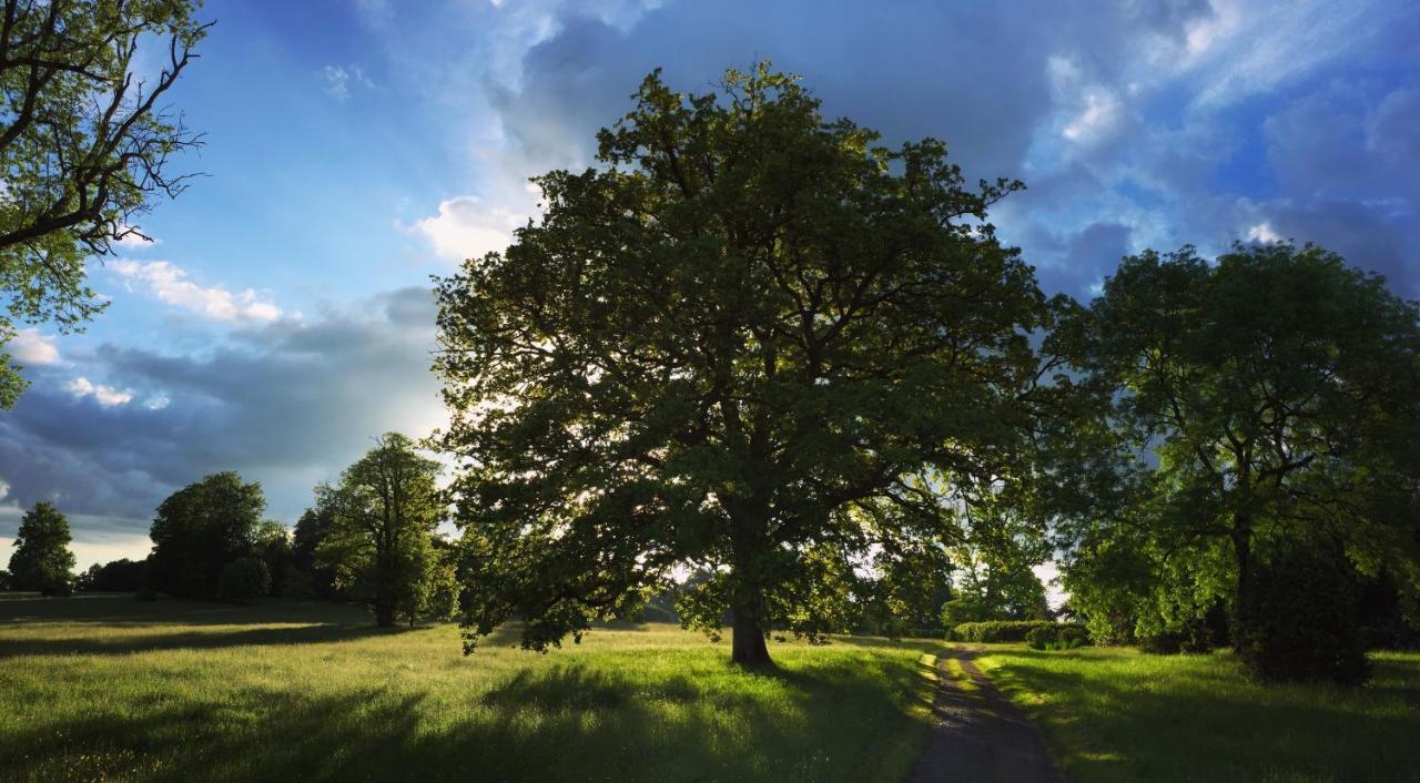 La Tiny Du Parc : Saint Symphorien Des Monts Villa Ernee Luaran gambar